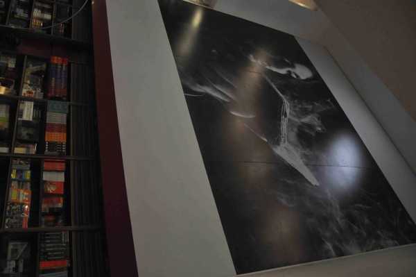 interior_branding/showroom_and_office_branding