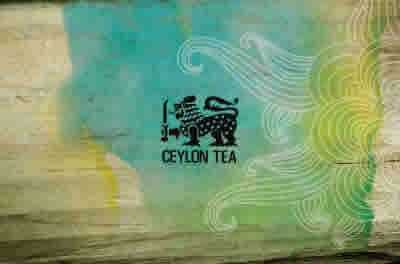 graphic_design_and_offset_printing/concept_designing